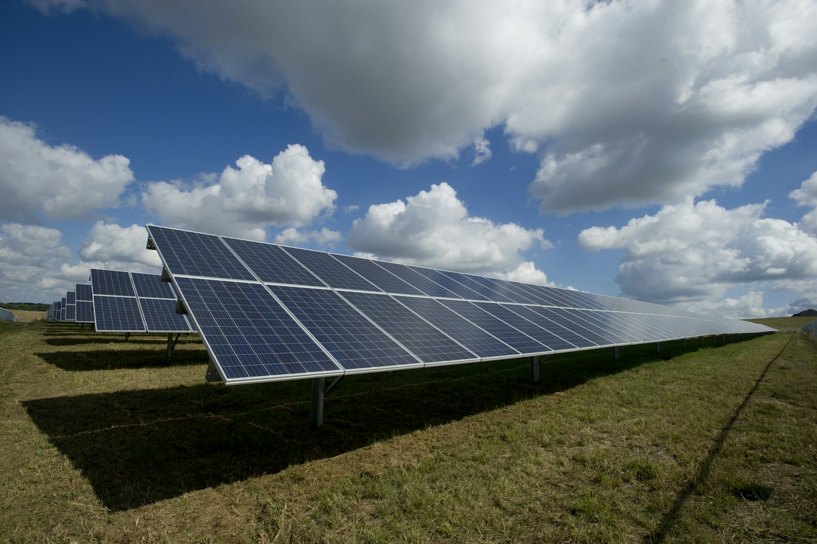 Photovoltaik-Module auf einer Wiese